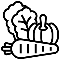 cuisine végétarienne